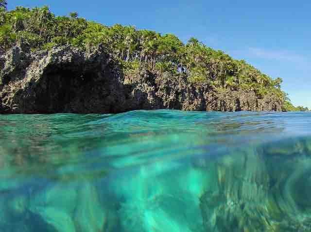 snorkelingdives.com-roatan-buceo-belize snorkelingdives.com-roatan-buceo-belize