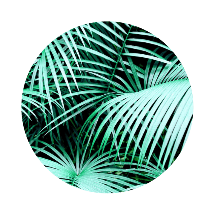 work-&-chill-martinique-espace-expression-lepontdesameriques work-&-chill-martinique-espace-expression-lepontdesameriques