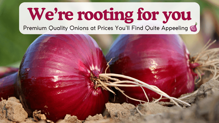 Noon International Frozen Onions IQF Noon International Frozen Onions IQF