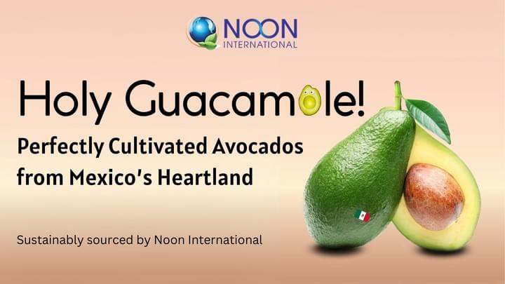 Noon International Frozen Avocado Puree IQF Noon International Frozen Avocado Puree IQF