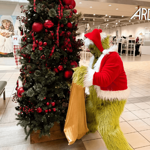 The Grinch Jim Carrey Dr Seuss How The Grinch Stole Christmas Character Performer Edmonton The Grinch Jim Carrey Dr Seuss How The Grinch Stole Christmas Character Performer Edmonton