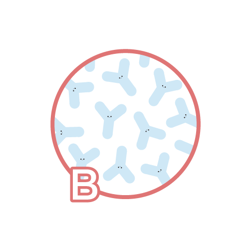 圓石酸奶成分 - 比菲德氏菌 圓石酸奶成分 - 比菲德氏菌