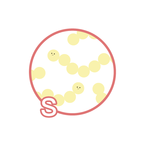 圓石酸奶成分 - 嗜熱鏈球菌 圓石酸奶成分 - 嗜熱鏈球菌