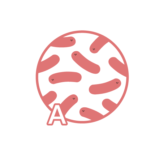 圓石酸奶成分 - 嗜酸乳桿菌 圓石酸奶成分 - 嗜酸乳桿菌