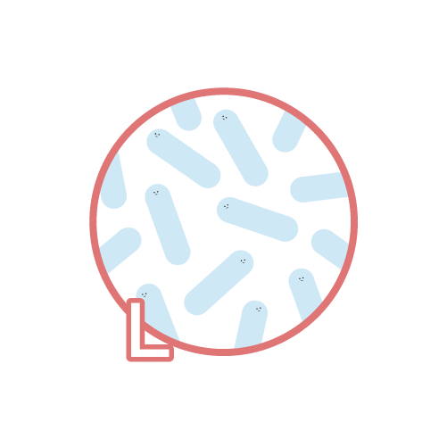 圓石酸奶成分 - 保加利亞桿菌 圓石酸奶成分 - 保加利亞桿菌