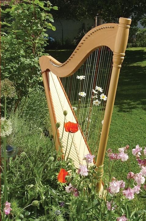 Une harpe posée dans un jardin fleuri Une harpe posée dans un jardin fleuri