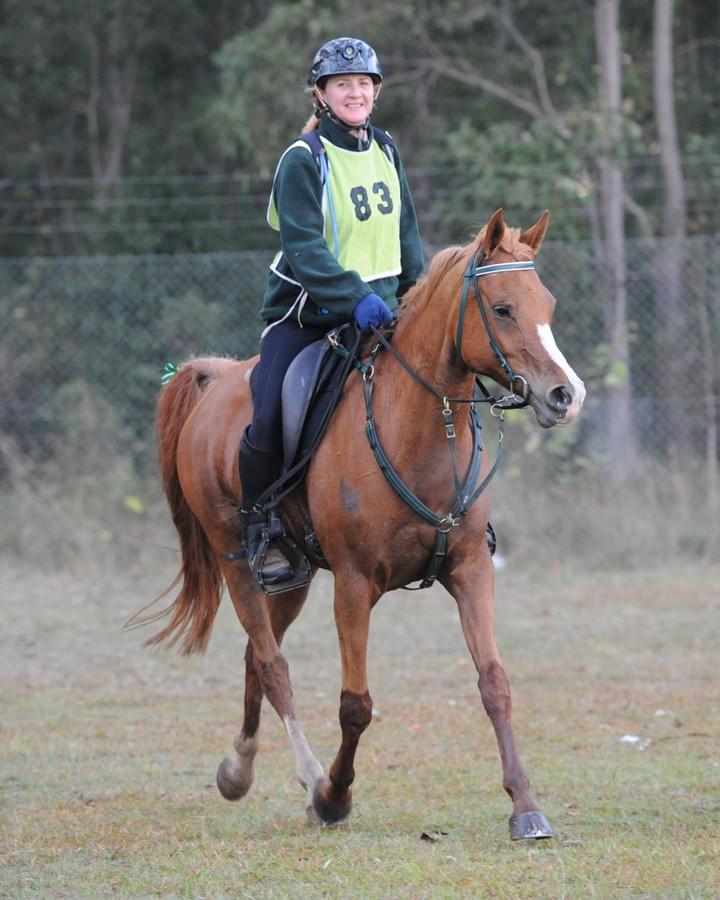 Lanamere Roulette Photo Sue Crockett Lanamere Roulette Photo Sue Crockett