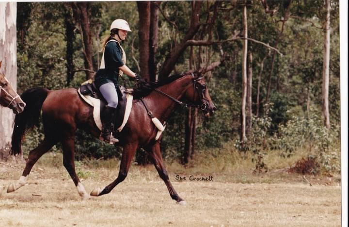 Kamashar at Spring Mountain. Photo Sue Crockett Kamashar at Spring Mountain. Photo Sue Crockett