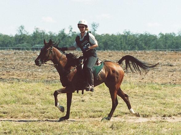 Dunwingeri Bint Farhan Chinchilla FEI 2003 Photo Sue Crockett Dunwingeri Bint Farhan Chinchilla FEI 2003 Photo Sue Crockett