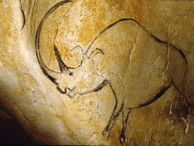 Peinture Rhinocéros Grotte Ornée Chauvet  Peinture Rhinocéros Grotte Ornée Chauvet