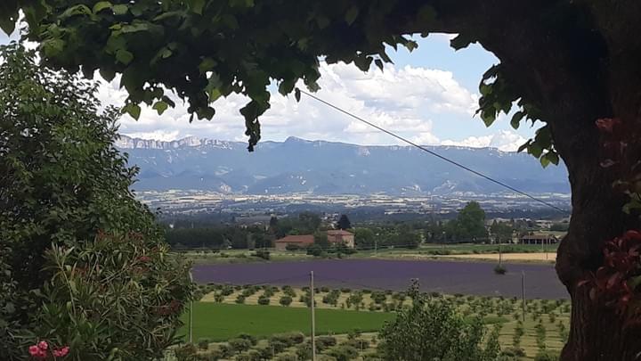 Lavande et Truufiers en Nord Drôme Lavande et Truufiers en Nord Drôme