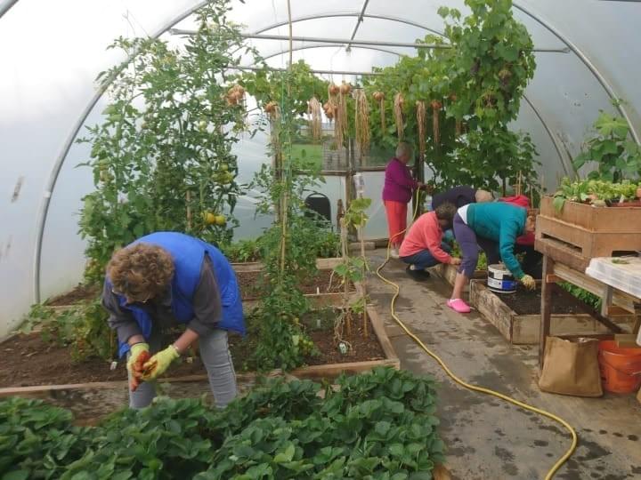 Community croup hard at work - Natural Landscapers Community croup hard at work - Natural Landscapers