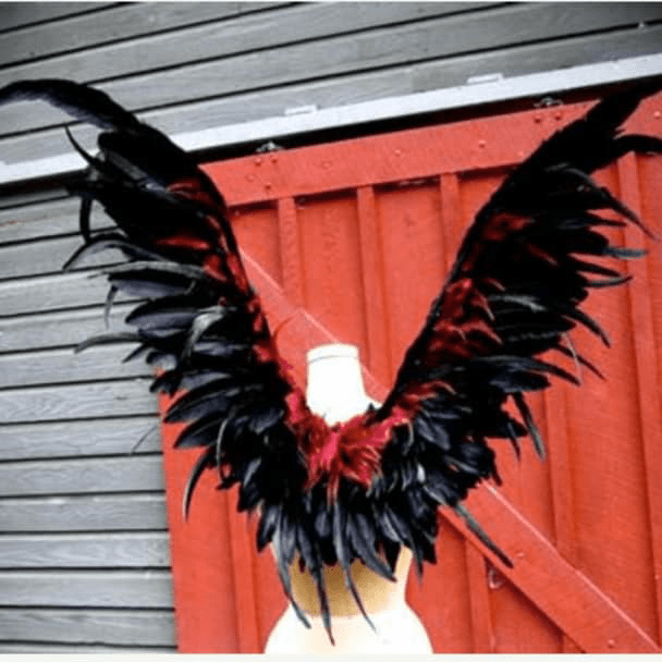 Section image