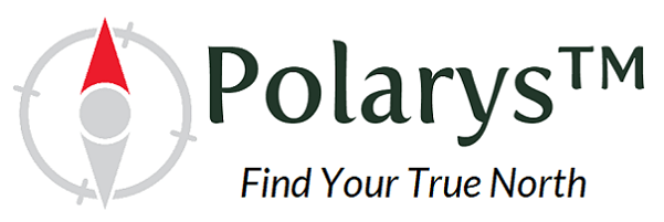 Polarys School Improvement Solution Polarys School Improvement Solution