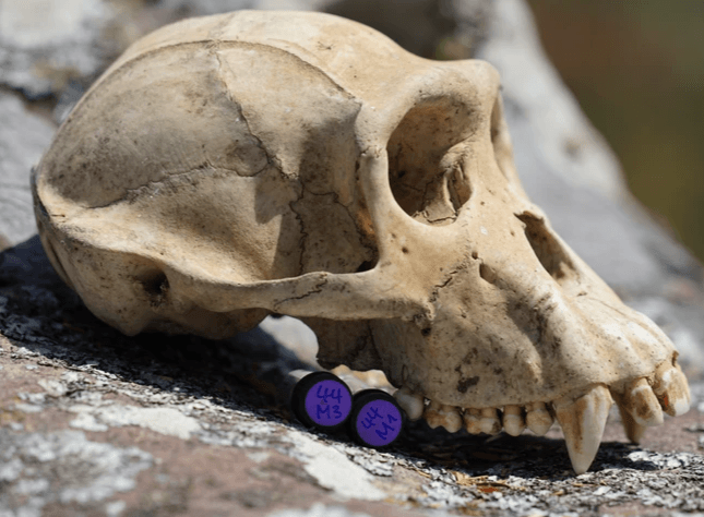 picture by Vicky Oelze picture by Vicky Oelze