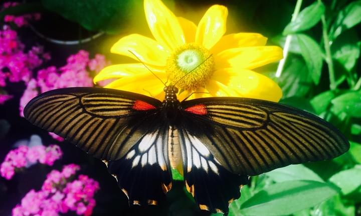 Klangmeditation mit Stimmgabeln Klangmeditation mit Stimmgabeln