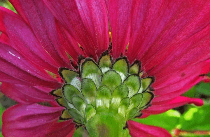 Klangmeditation mit Stimmgabeln Klangmeditation mit Stimmgabeln