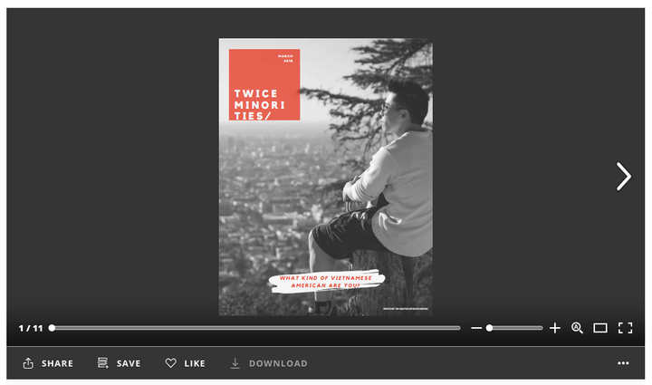 Chinese Vietnamese, Zine, Multicultural, Asian American Chinese Vietnamese, Zine, Multicultural, Asian American