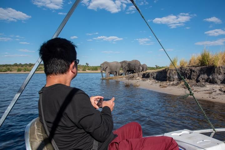 African Elephant, Chobe National Park, Chobe Day Trip, Chobe Day Tour, Chobe River, Chobe Safari, Victoria Falls, Botswana African Elephant, Chobe National Park, Chobe Day Trip, Chobe Day Tour, Chobe River, Chobe Safari, Victoria Falls, Botswana