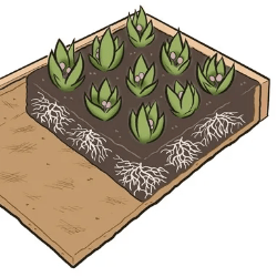 Section image