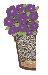 Section image