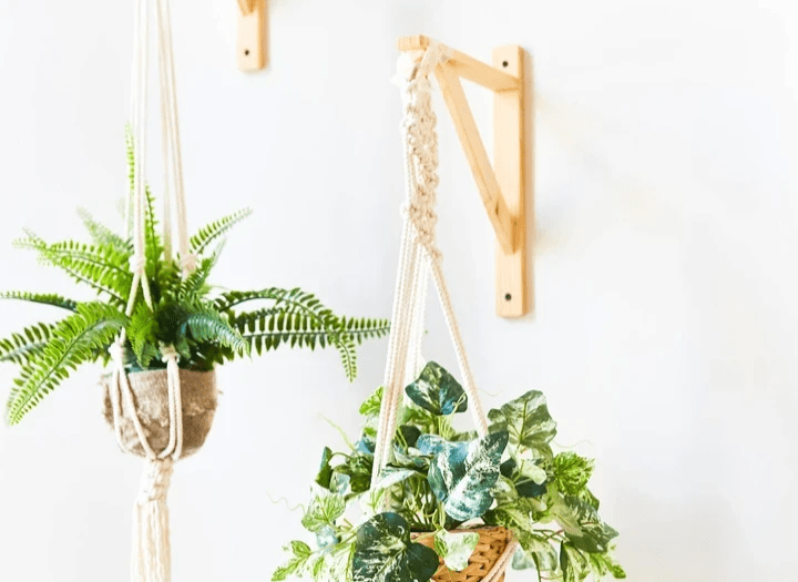 吊り植木鉢スリングは、柔らかく、安全で環境に優しい人工皮革素材で作られています。持続可能で、耐久性があり、強い。售後服務:如果您對產品有任何疑問,或對產品不滿意,請隨時與我們聯繫。我們會盡快回复您,幫助您解決問題。| 美謙株式会社 吊り植木鉢スリングは、柔らかく、安全で環境に優しい人工皮革素材で作られています。持続可能で、耐久性があり、強い。售後服務:如果您對產品有任何疑問,或對產品不滿意,請隨時與我們聯繫。我們會盡快回复您,幫助您解決問題。| 美謙株式会社