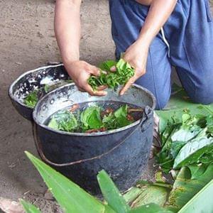 Become An Experimenter, invent new experiments, startover.xyz, Possibility Management Become An Experimenter, invent new experiments, startover.xyz, Possibility Management