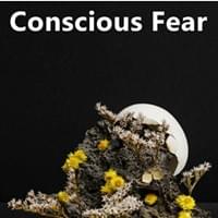 strange wood and yellow flowers display on black background with moon rising behind, Conscious Fear, Trainer Path, StartOver.xyz, Possibility Management strange wood and yellow flowers display on black background with moon rising behind, Conscious Fear, Trainer Path, StartOver.xyz, Possibility Management