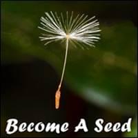 Become A Seed, Become A Seed Maker, startover.xyz, Possibility Management Become A Seed, Become A Seed Maker, startover.xyz, Possibility Management