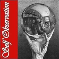 Become A Seed, self observation, startover.xyz, Possibility Management Become A Seed, self observation, startover.xyz, Possibility Management