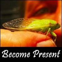 closeup of green locust standing on man's finger while he looks on, Become Present, Trainer Path, StartOver.xyz, Possibility Management closeup of green locust standing on man's finger while he looks on, Become Present, Trainer Path, StartOver.xyz, Possibility Management