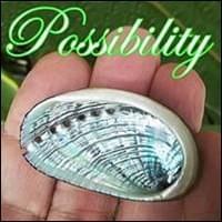 Possibility, StartOver.xyz, powered by Possibility Management Possibility, StartOver.xyz, powered by Possibility Management