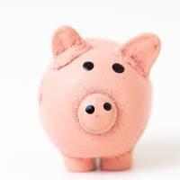 A pale pink piggy bank with legs, ears, a snout and black dots as eyes and nostrils A pale pink piggy bank with legs, ears, a snout and black dots as eyes and nostrils