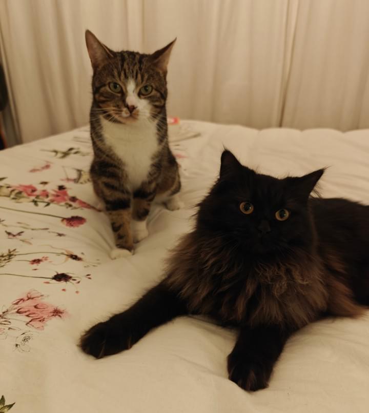 Photo credit: Arija jansen Photo credit: Arija jansen