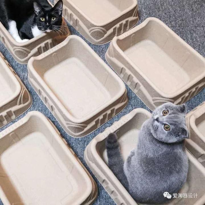 Eco Friendly Biodegradable Compostable Disposable Pulp Cat Litter Box Tray Eco Friendly Biodegradable Compostable Disposable Pulp Cat Litter Box Tray