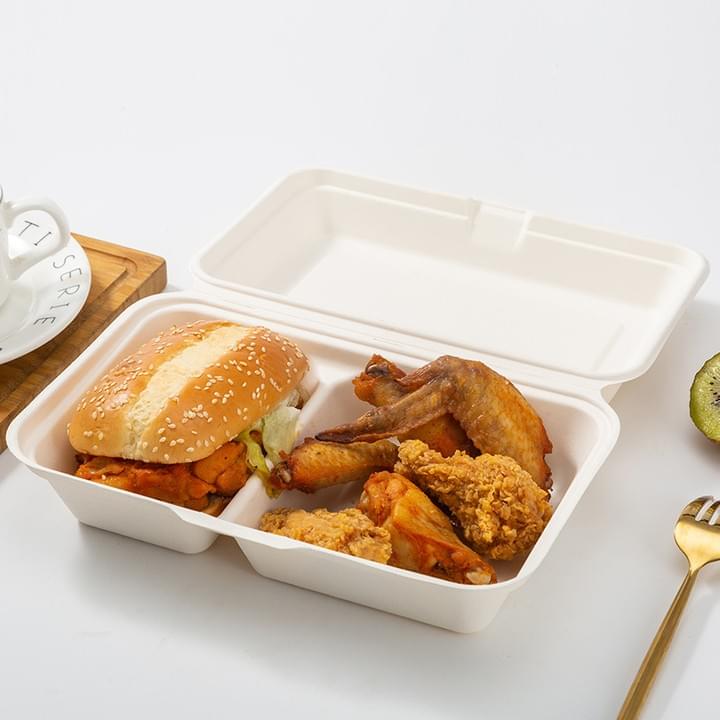 Biodegradable Compostable Sugarcane Bagasse Pulp Disposable Rectangle 2-Compartment Food Containers with Hinged Lid Biodegradable Compostable Sugarcane Bagasse Pulp Disposable Rectangle 2-Compartment Food Containers with Hinged Lid