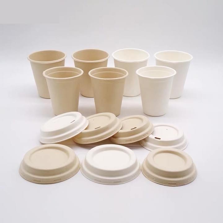 Eco-Friendly Biodegradable Compostable Sugarcane Bagasse Pulp Food Grade Disposable Takeout Cups with Lids Eco-Friendly Biodegradable Compostable Sugarcane Bagasse Pulp Food Grade Disposable Takeout Cups with Lids