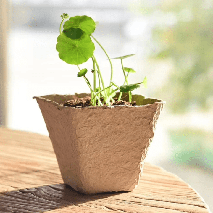 Eco Friendly Biodegradable Compostable Planting Peat Pots Seed Germination for Garden Seedling Eco Friendly Biodegradable Compostable Planting Peat Pots Seed Germination for Garden Seedling
