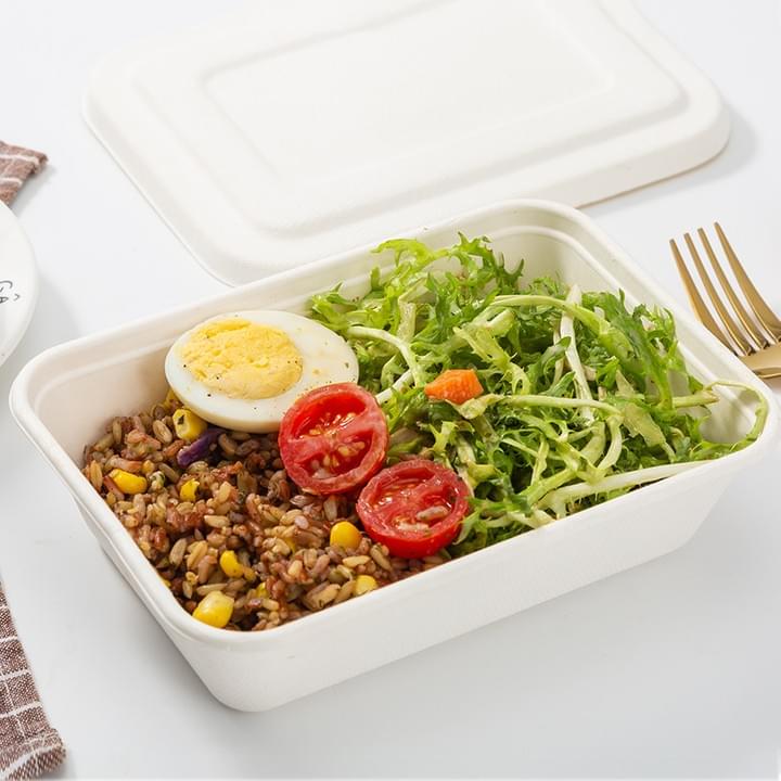 Biodegradable Compostable Sugarcane Bagasse Pulp Disposable Rectangle Salad Food Trays with Lids Biodegradable Compostable Sugarcane Bagasse Pulp Disposable Rectangle Salad Food Trays with Lids