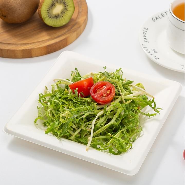 Biodegradable Compostable Sugarcane Bagasse Pulp Disposable Square Plates Biodegradable Compostable Sugarcane Bagasse Pulp Disposable Square Plates