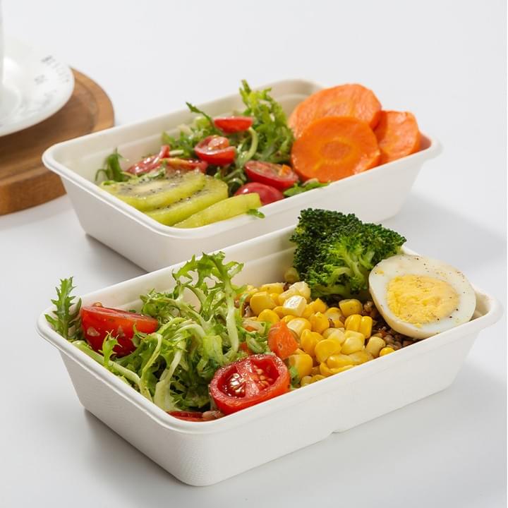 Biodegradable Compostable Sugarcane Bagasse Pulp Disposable Rectangle Food Containers Biodegradable Compostable Sugarcane Bagasse Pulp Disposable Rectangle Food Containers