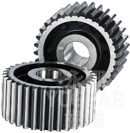 正齒輪 Spur Gears 正齒輪 Spur Gears