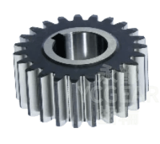 正齒輪 Spur Gears 正齒輪 Spur Gears
