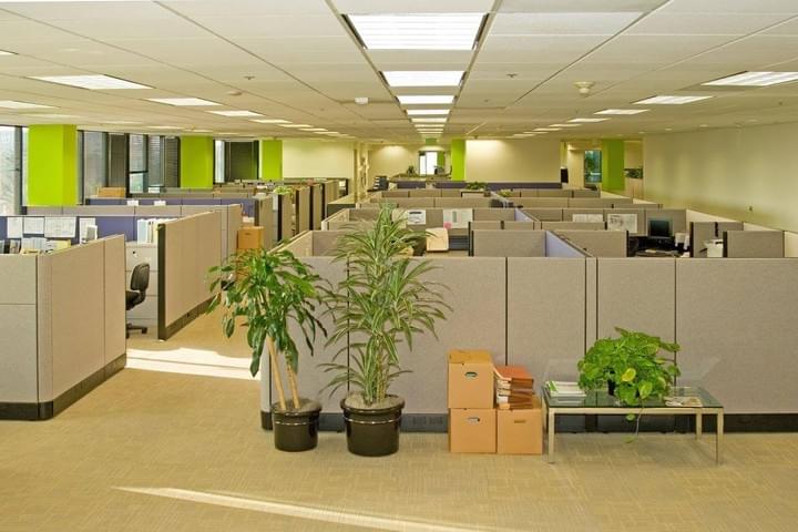Commercial Cleaning Commercial Cleaning