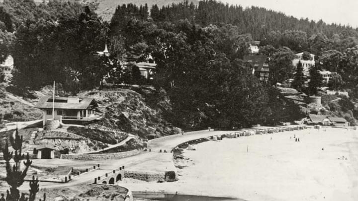 Section image