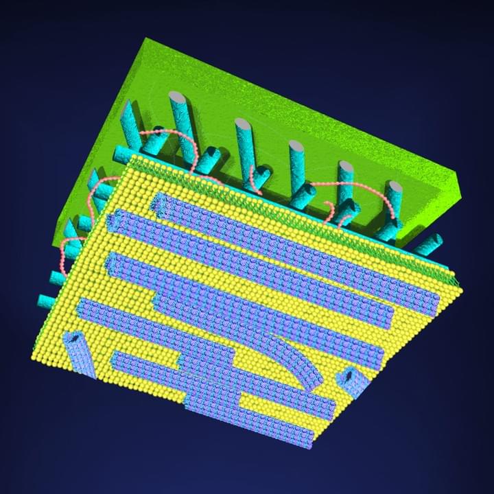 Section image