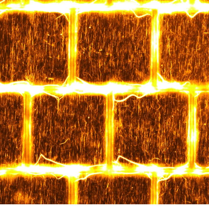 Section image