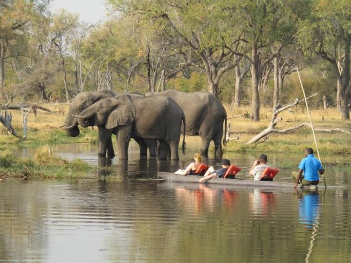 Lower Zambezi National Park, Lower Zambezi National Park Safaris, Elephant in water, Zambian Safari Lower Zambezi National Park, Lower Zambezi National Park Safaris, Elephant in water, Zambian Safari