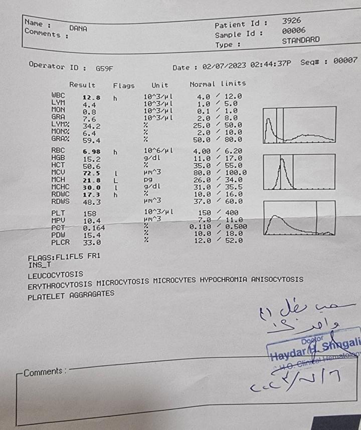 Section image