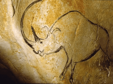 Peinture Rhinocéros Grotte Ornée Chauvet Peinture Rhinocéros Grotte Ornée Chauvet